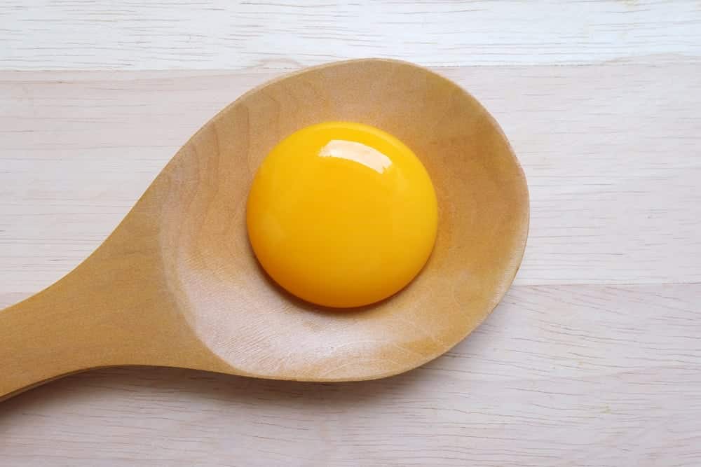 kuning-telur
