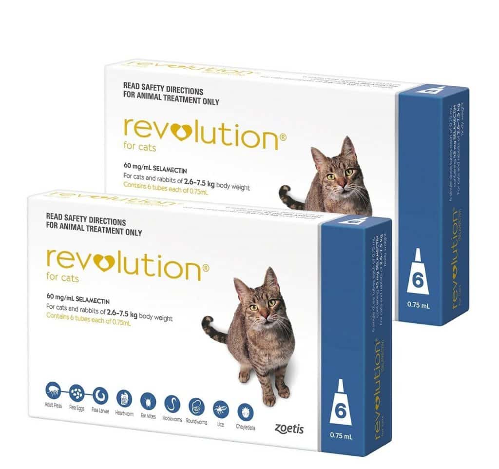 obat-kutu-kucing-revolution