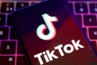 Link Download TikTok No Watermark Apk 100% Work
