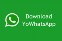 Yo WhatsApp (YoWA) Apk Download Resmi Official Terbaru 2023